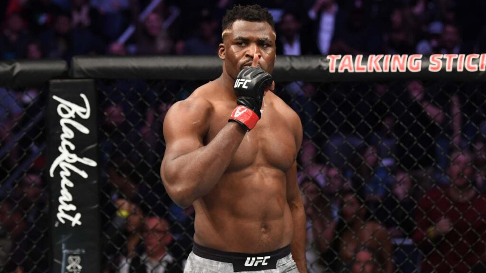 Obawy o bezpieczeństwo rywala Francisa Ngannou. Kontrowersyjny wybór sędziego na galę PFL