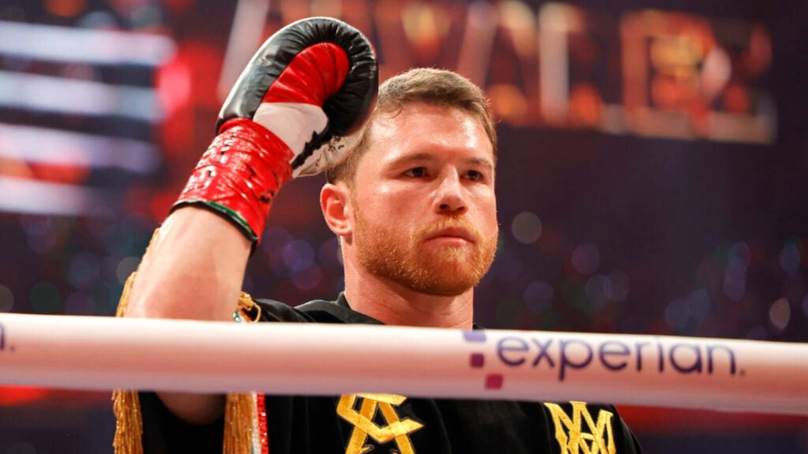 Forbes: Canelo Alvarez zarabia o 100 milionów dolarów więcej niż Jake Paul