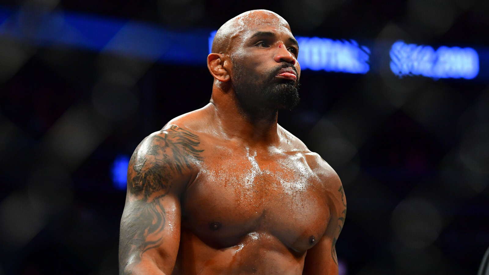 Yoel Romero rozbija rywala. Alex Nicholson ze złamaną szczęką po walce na gołe pięści