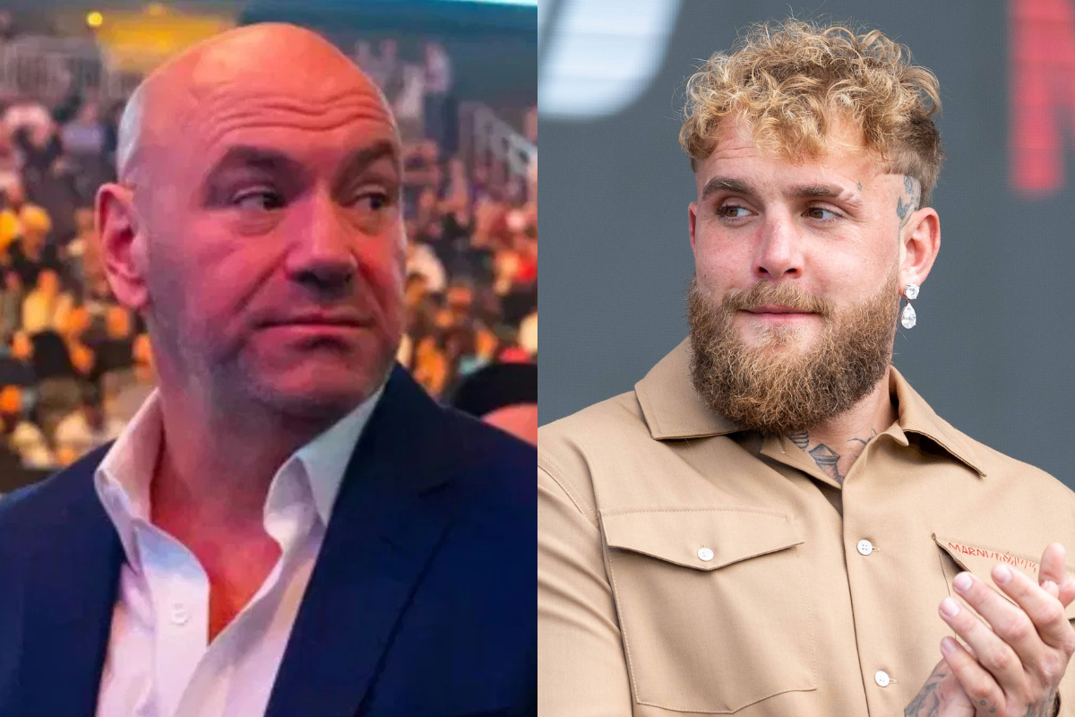 Insider ujawnia plan Jake'a Paula. Cel: reality show Dana White'a