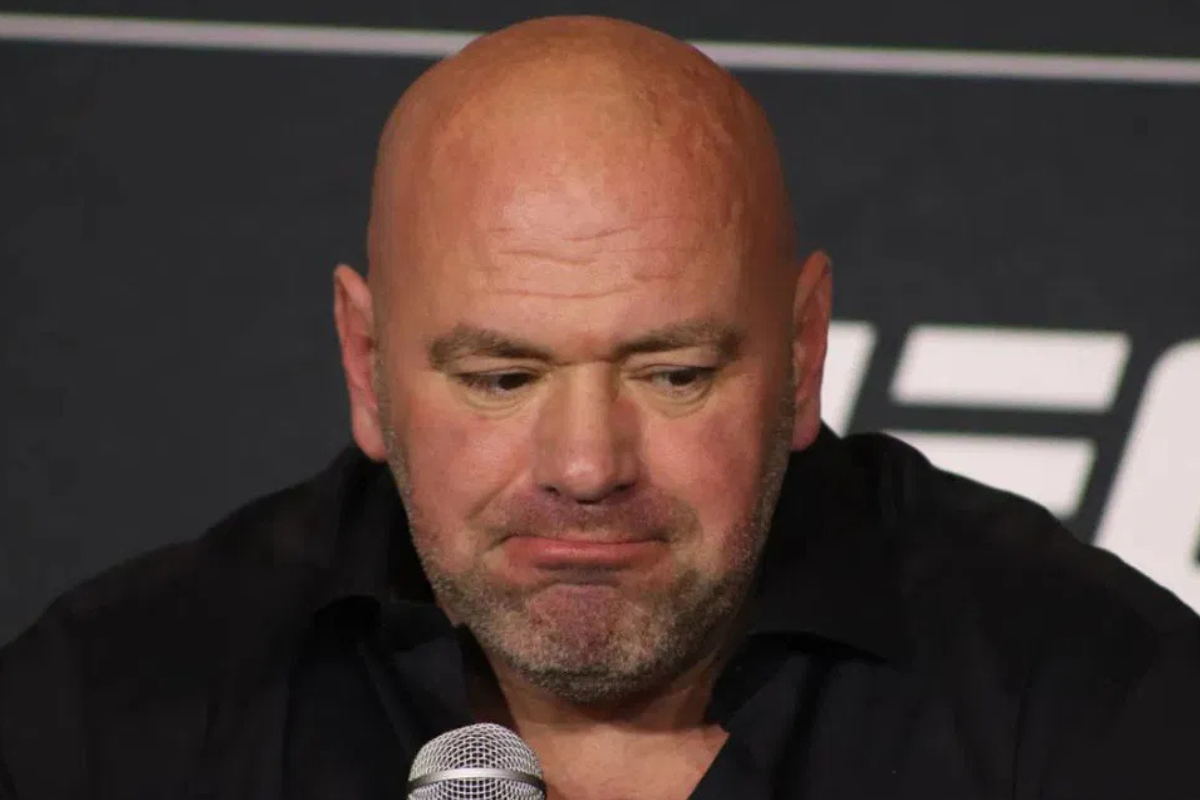 Jake Paul oferuje lepsze kontrakty niż UFC? Doniesienia z rynku MMA