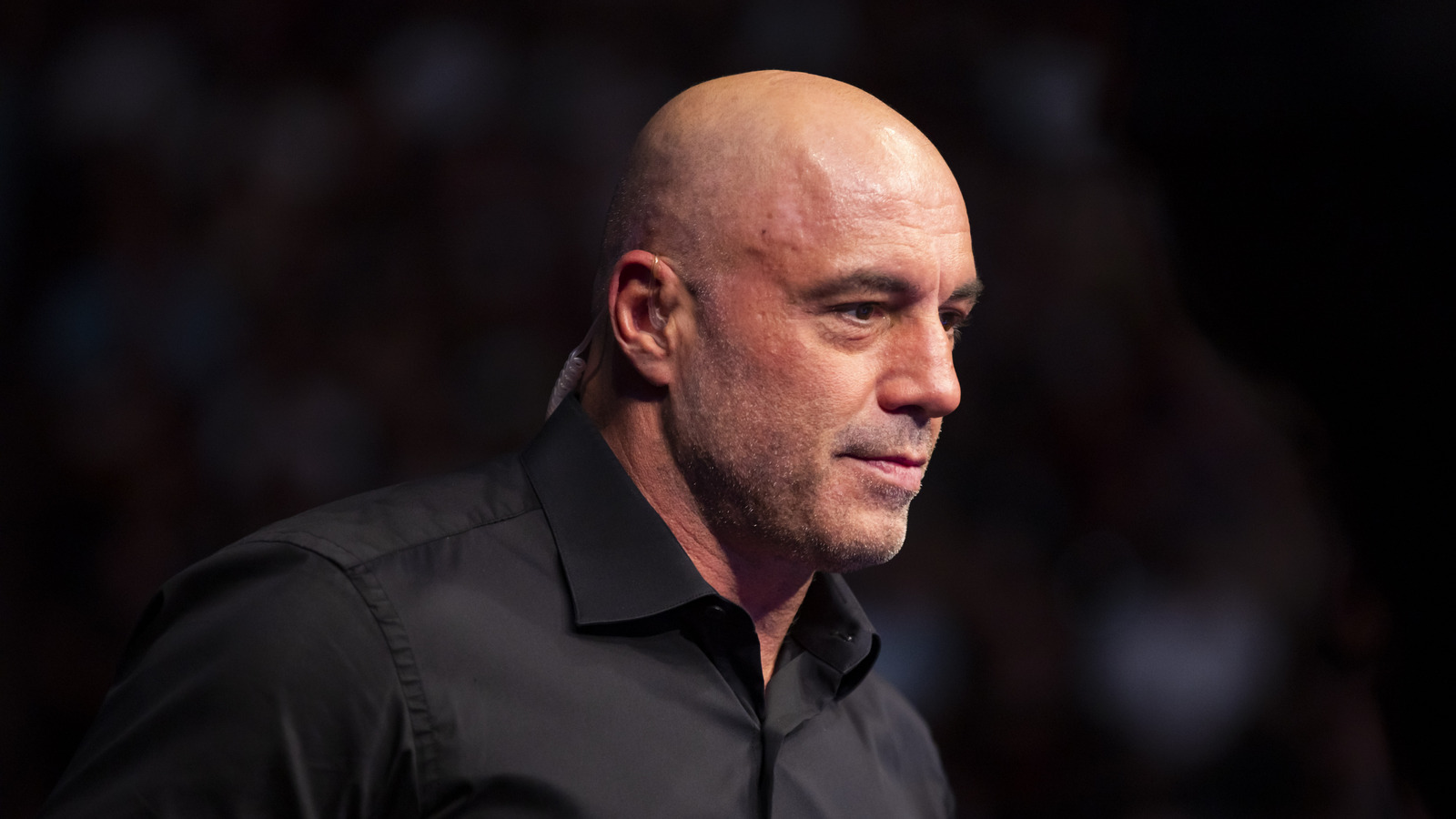 Joe Rogan proponuje legalizację uderzeń w parterze. 'To zmieniłoby wszystko'