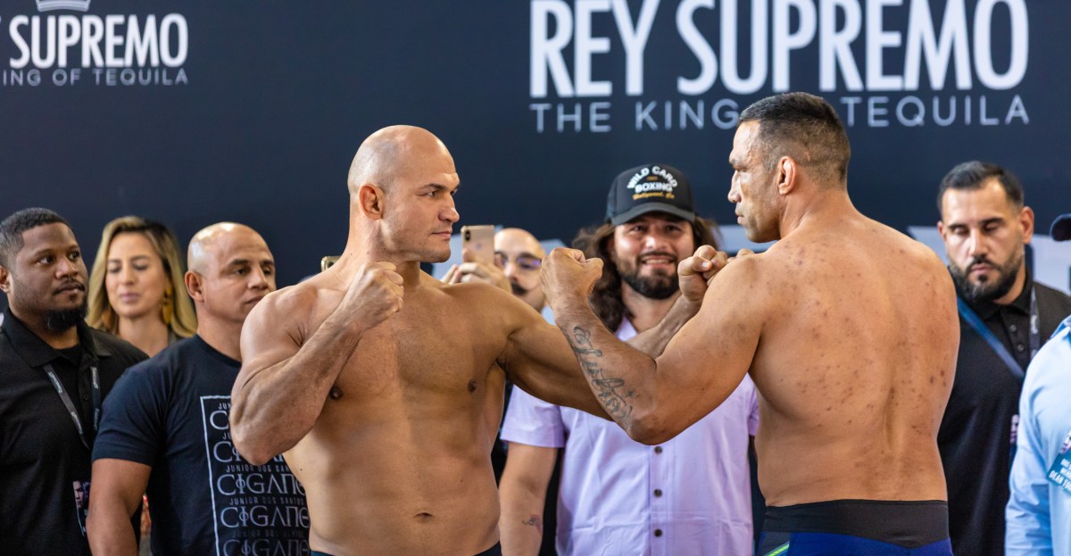 Junior dos Santos wycofuje się z walki parterowej z Fabricio Werdumem