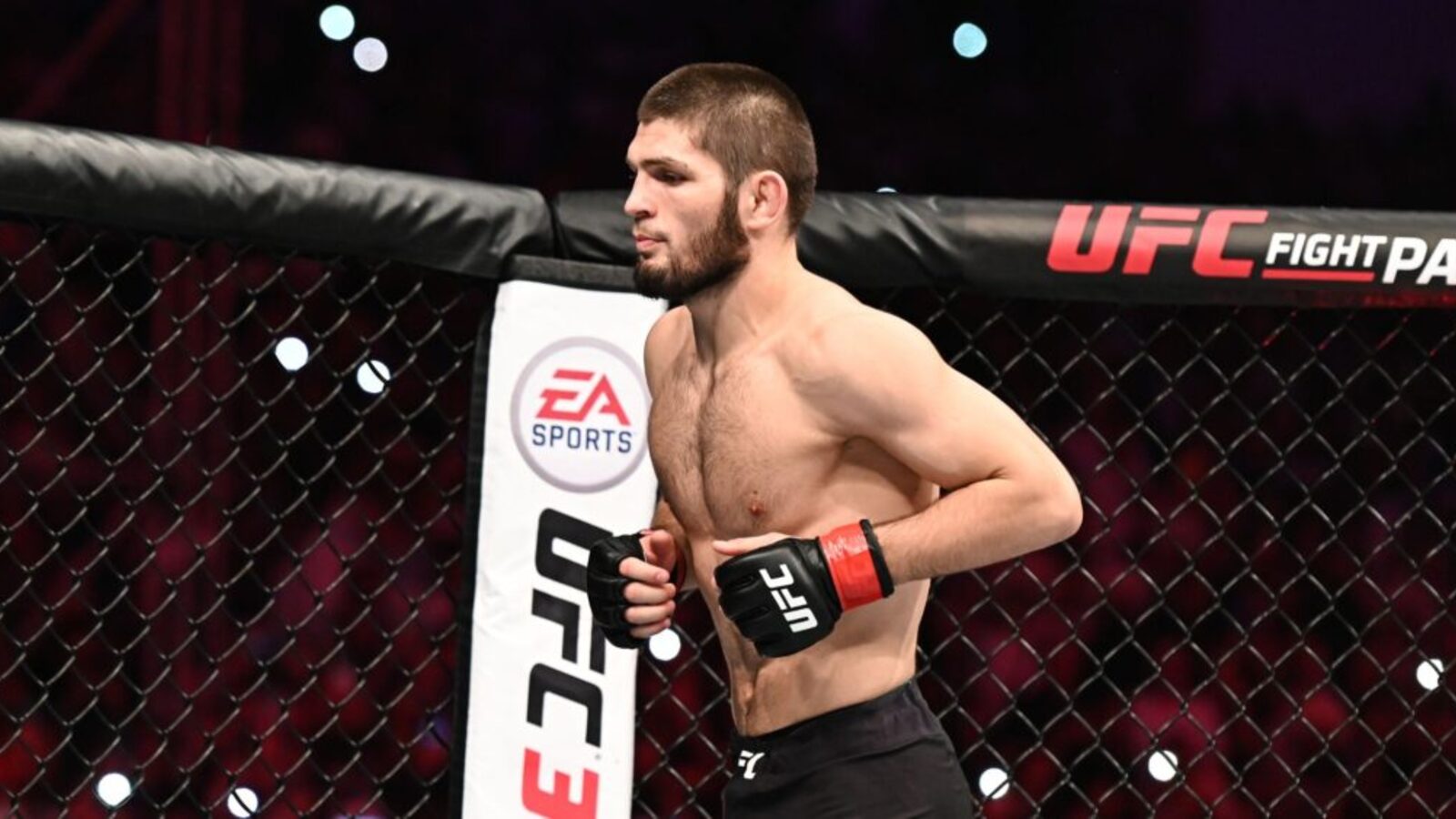 Khabib Nurmagomedov Reveals Why MMA Felt Easier Than Running Multiple Businesses
