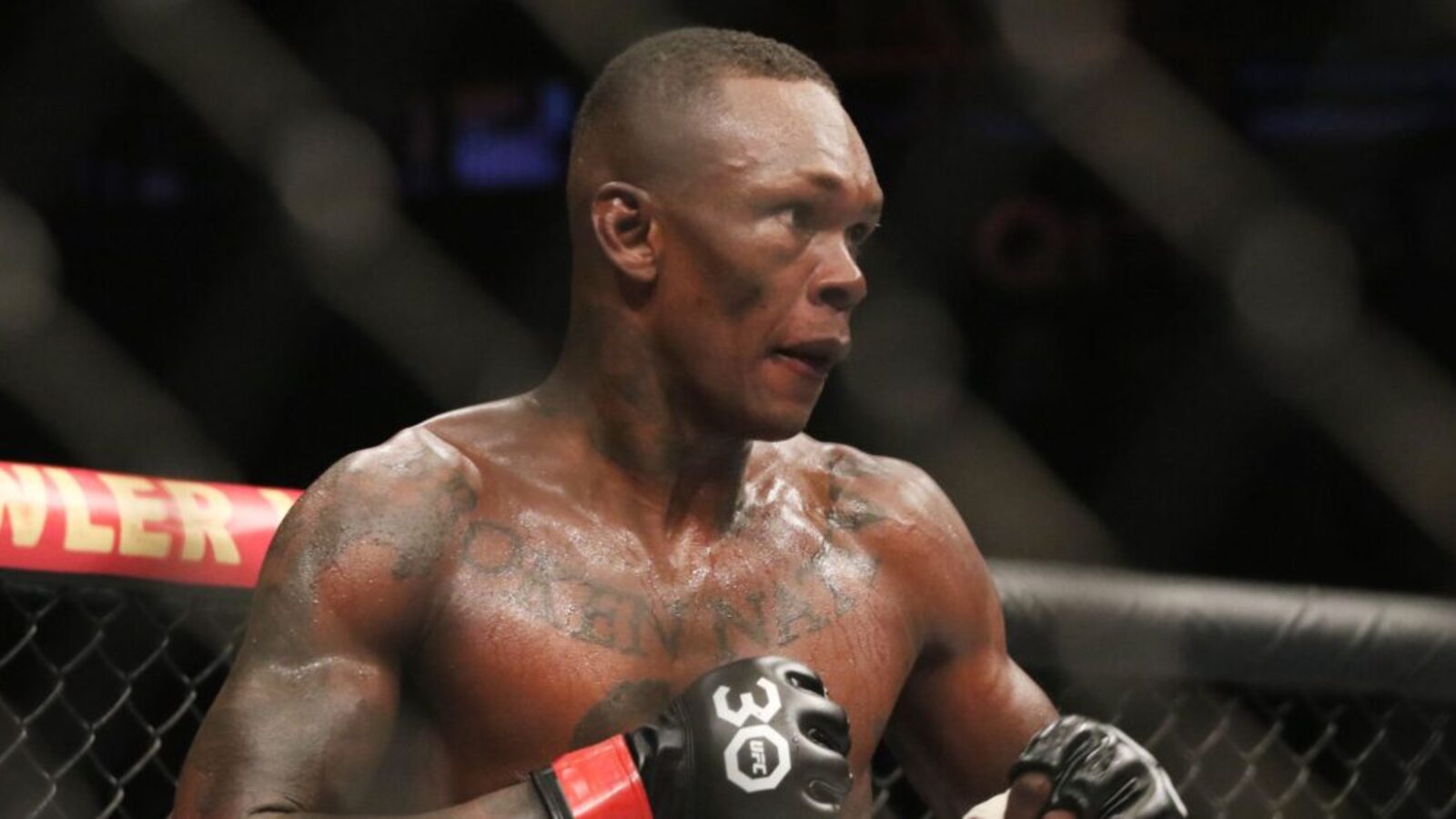 Weteran MMA o Izzym Adesanayi: 'Nie musi już walczyć'