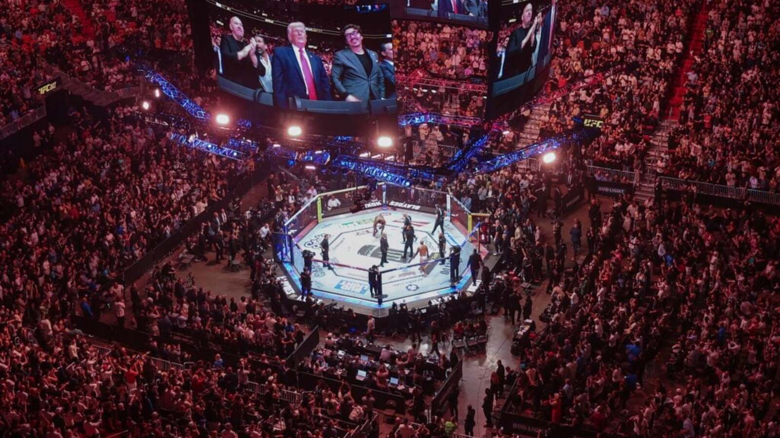 UFC 327: Rekordowa oglądalność w telewizji przy najniższej frekwencji w historii