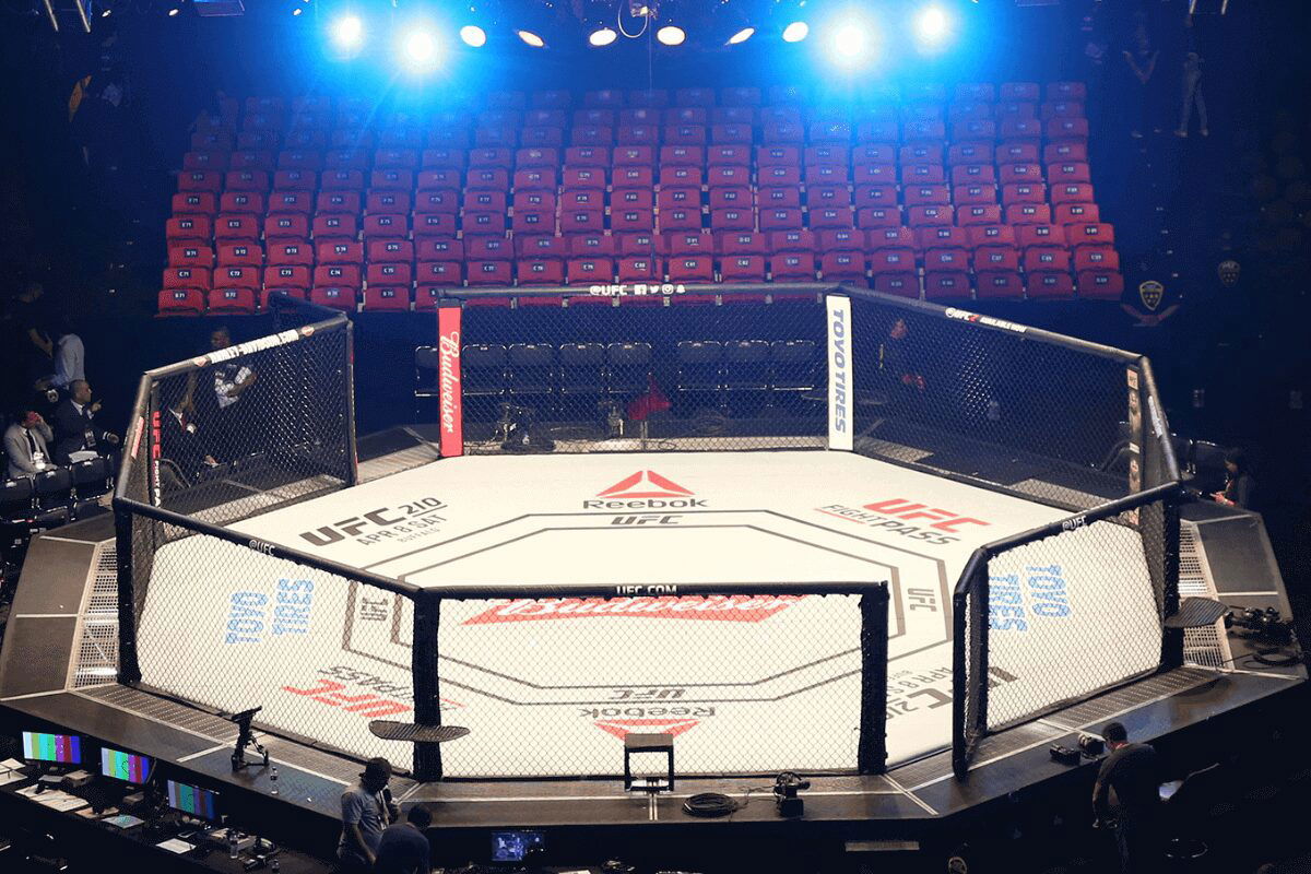 Bruna Brasil dowiaduje się od fana, że została zwolniona z UFC