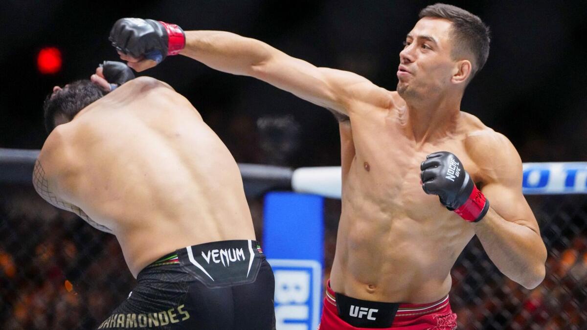 UFC Fight Night: Rafael Fiziev vs. Manuel Torres – typy i prognozy eksperta