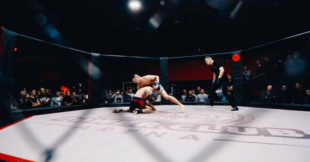 UFC w Londynie: Gdzie i o której obejrzeć walki na żywo?