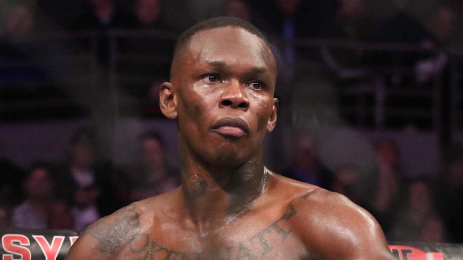 UFC Seattle: Israel Adesanya vs. Joe Pyfer – Przewidywania i analiza karty walk
